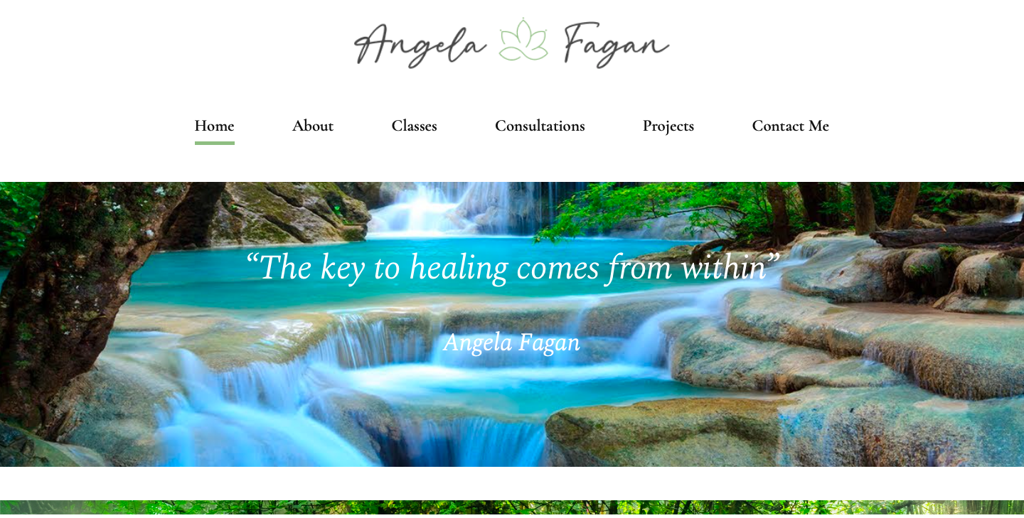 Angela Fagan's New website screenshot